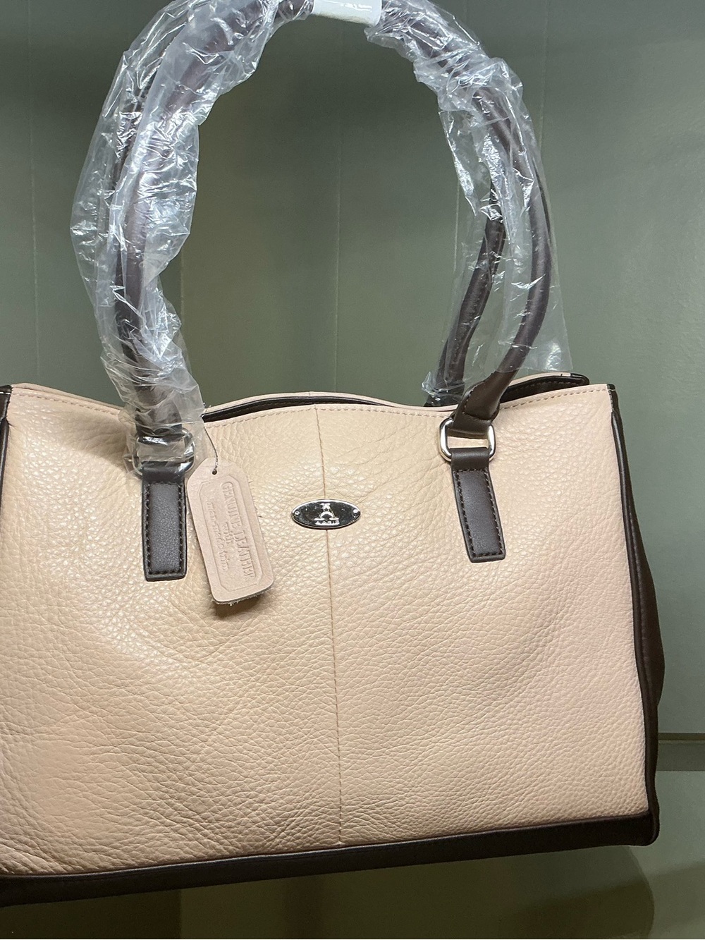 Women’s Blush and Brown Structured Tote Bag